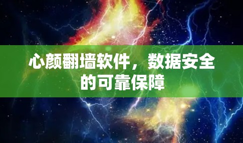 心颜翻墙软件，数据安全的可靠保障
