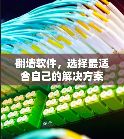 翻墙软件，选择最适合自己的解决方案