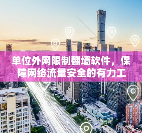 单位外网限制翻墙软件，保障网络流量安全的有力工具