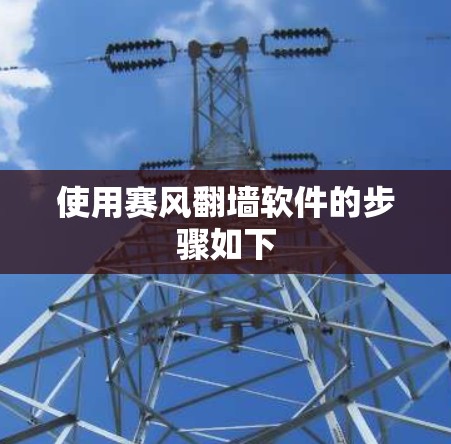 使用赛风翻墙软件的步骤如下