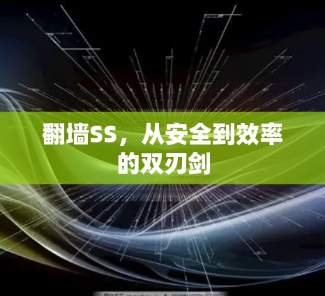 翻墙SS,从安全到效率的双刃剑 翻墙SS,从安全到效率的双刃剑