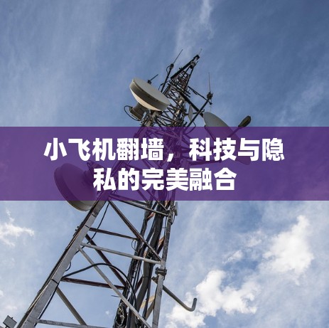 小飞机翻墙，科技与隐私的完美融合
