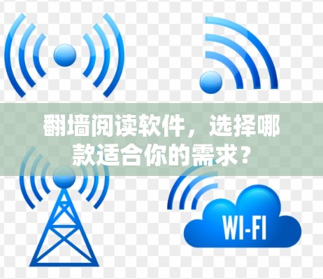 翻墙阅读软件，选择哪款适合你的需求？