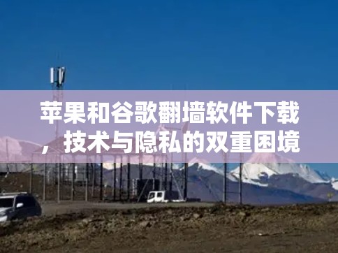 苹果和谷歌翻墙软件下载，技术与隐私的双重困境