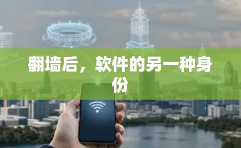 翻墙后，软件的另一种身份