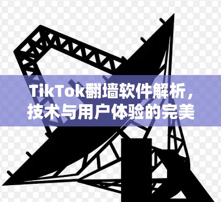 TikTok翻墙软件解析，技术与用户体验的完美结合