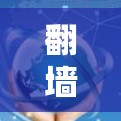 翻墙的边界与政府的权力