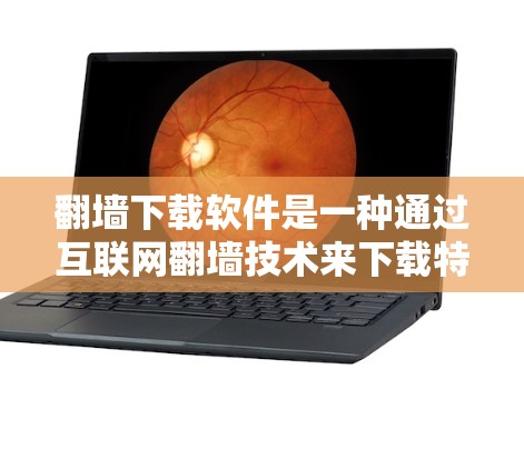 翻墙下载软件是一种通过互联网翻墙技术来下载特定资源或文件的软件应用，主要功能包括资源访问、自动下载、文件管理等。以下是关于翻墙下载软件的详细信息