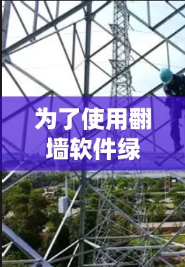 为了使用翻墙软件绿色版来绕过网络防火墙，您可以按照以下步骤操作