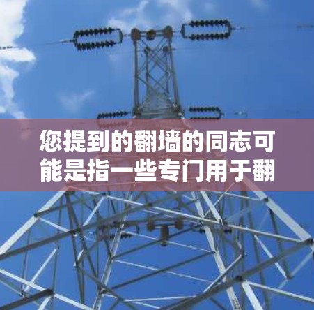 您提到的翻墙的同志可能是指一些专门用于翻墙的视频软件，但您提到的同志可能有误，或者有其他含义。如果您指的是翻墙相关的视频软件，以下是一些常见的翻墙软件推荐，您也可以根据需要选择合适的工具
