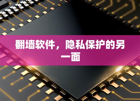 翻墙软件，隐私保护的另一面