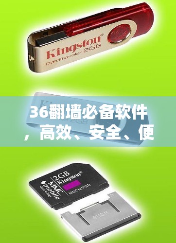 36翻墙必备软件，高效、安全、便捷，助力网络安全保护