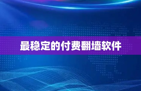 最稳定的付费翻墙软件