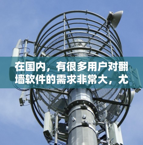 在国内，有很多用户对翻墙软件的需求非常大，尤其是对价格敏感的用户。以下是一些国内知名的翻墙软件，供您参考