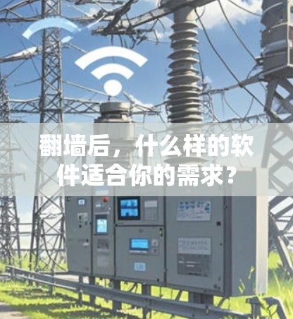 翻墙后，什么样的软件适合你的需求？