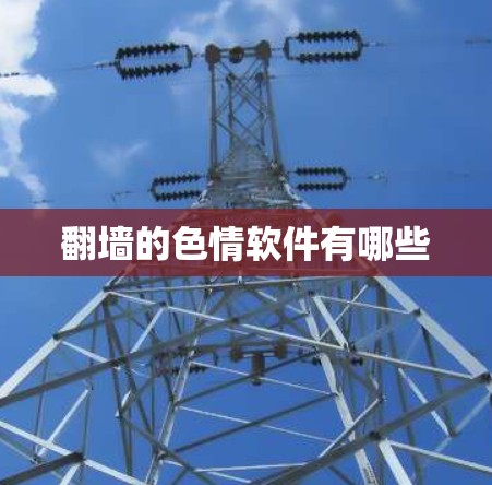 翻墙的色情软件有哪些