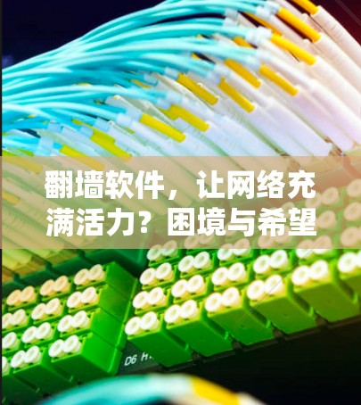 翻墙软件，让网络充满活力？困境与希望