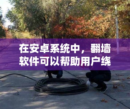 在安卓系统中，翻墙软件可以帮助用户绕过网络限制或访问互联网。以下是几个常见的翻墙软件推荐