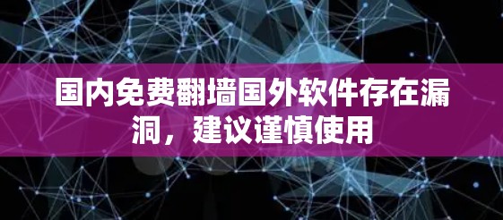 国内免费翻墙国外软件存在漏洞，建议谨慎使用