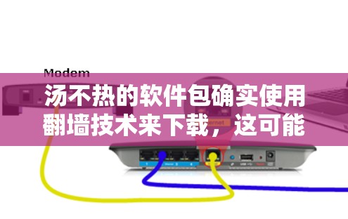 汤不热的软件包确实使用翻墙技术来下载，这可能是为了控制下载权限、资源管理或者其他安全措施。以下是一个详细的分步指南，帮助您更好地使用翻墙技术下载软件包，并确保安全