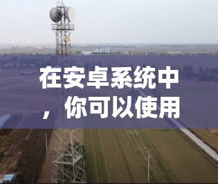 在安卓系统中，你可以使用以下几种免费或半免费的软件来永久翻墙