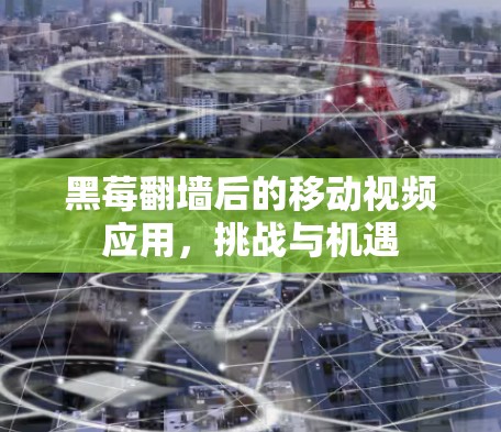 黑莓翻墙后的移动视频应用，挑战与机遇