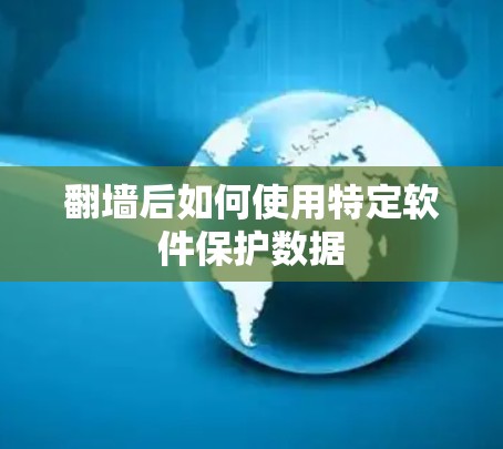翻墙后如何使用特定软件保护数据