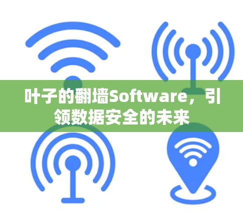 叶子的翻墙Software，引领数据安全的未来