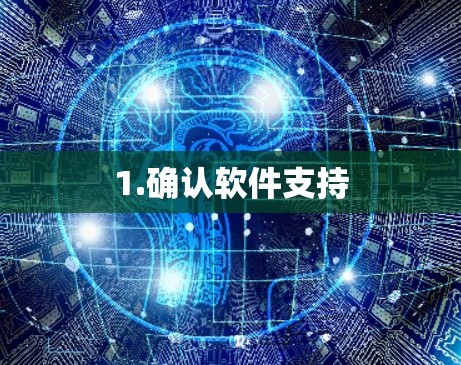 1.确认软件支持