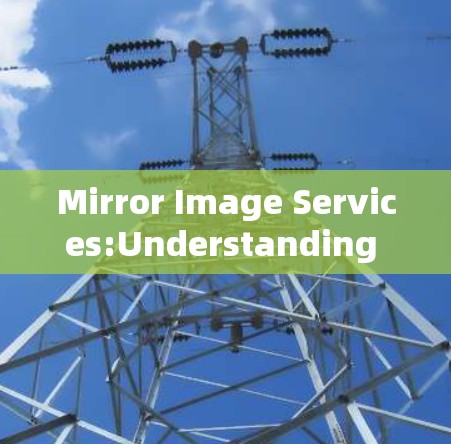 Mirror Image Services:Understanding the Role of Digital Rights Management