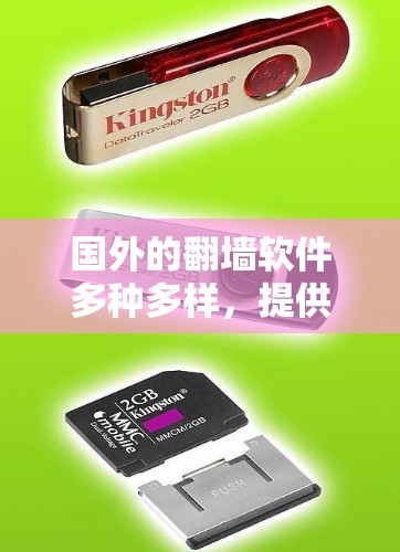 国外的翻墙软件多种多样，提供了多种选择，根据需求和预算选择合适的工具。以下是一些常见的国外翻墙软件及其特点