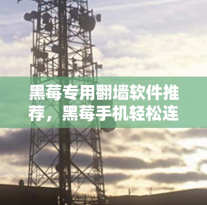 黑莓专用翻墙软件推荐，黑莓手机轻松连接互联网的必备工具