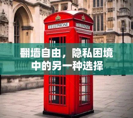 翻墙自由，隐私困境中的另一种选择