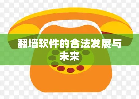 翻墙软件的合法发展与未来
