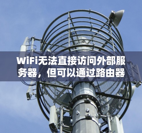 WiFi无法直接访问外部服务器，但可以通过路由器头或有线路由器的翻墙功能实现。以下是一些具体的解决方案