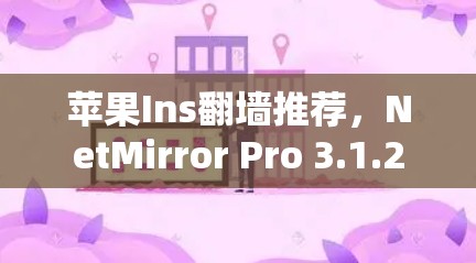 苹果Ins翻墙推荐，NetMirror Pro 3.1.2
