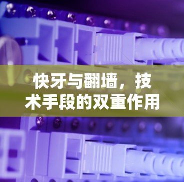 快牙与翻墙，技术手段的双重作用与用户保护的挑战
