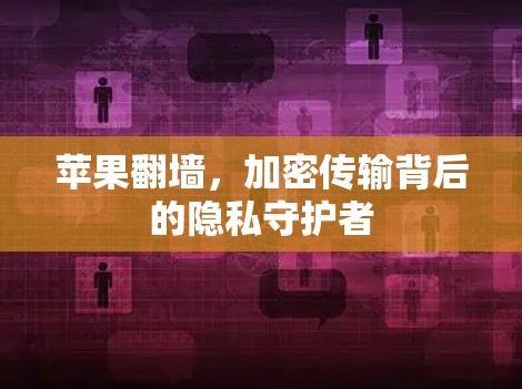 苹果翻墙，加密传输背后的隐私守护者