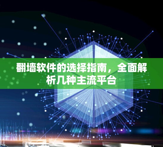 翻墙软件的选择指南，全面解析几种主流平台