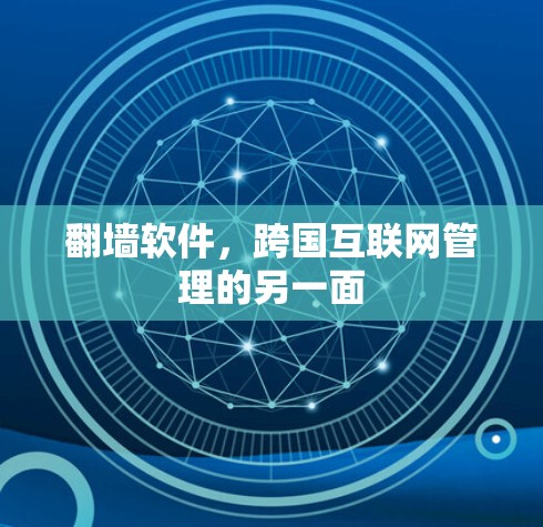 翻墙软件，跨国互联网管理的另一面