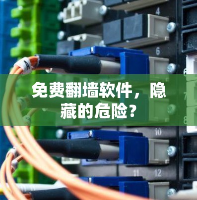 免费翻墙软件,隐藏的危险? 免费翻墙软件,隐藏的危险?