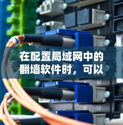 在配置局域网中的翻墙软件时,可以按照以下步骤操作 在配置局域网中的翻墙软件时,可以按照以下步骤操作