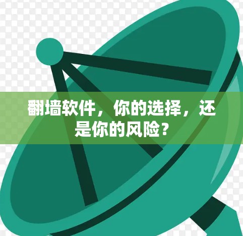 翻墙软件，你的选择，还是你的风险？