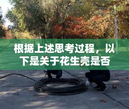 根据上述思考过程，以下是关于花生壳是否是翻墙软件的总结