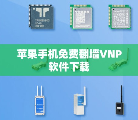 苹果手机免费翻墙VNP软件下载