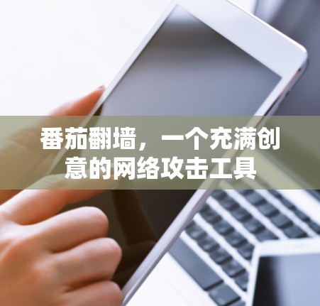 番茄翻墙，一个充满创意的网络攻击工具