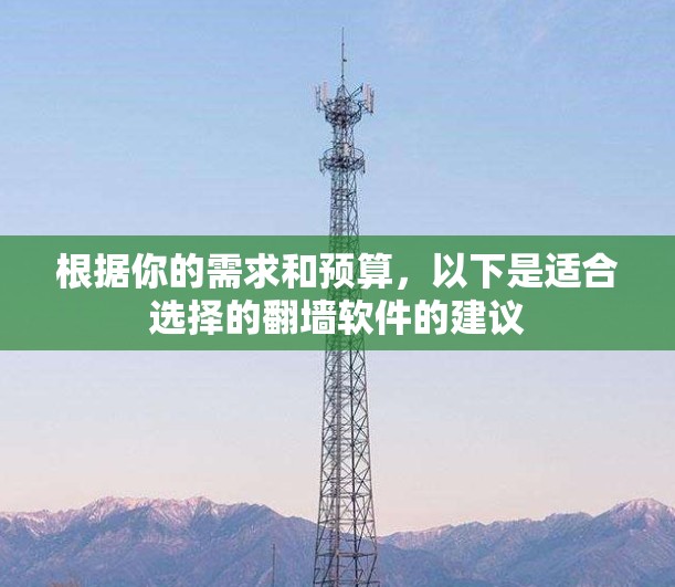 根据你的需求和预算，以下是适合选择的翻墙软件的建议