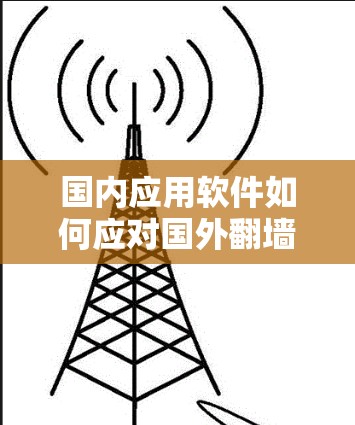 国内应用软件如何应对国外翻墙问题