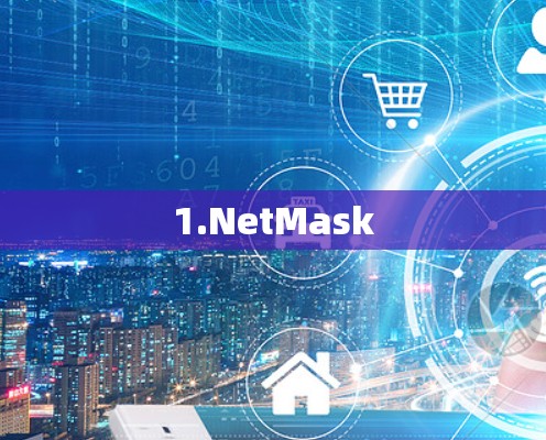 1.NetMask