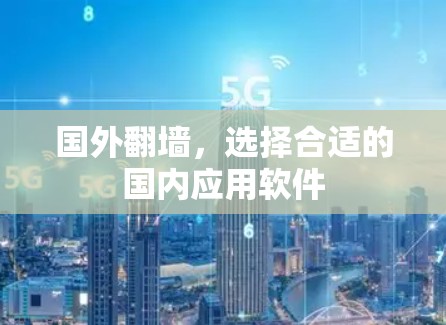 国外翻墙，选择合适的国内应用软件